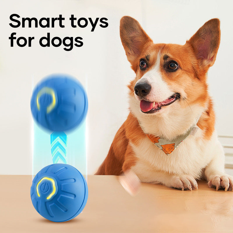 New Electric Bouncing Ball for Dogs