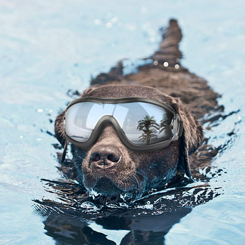 Outdoor Goggles for Dogs