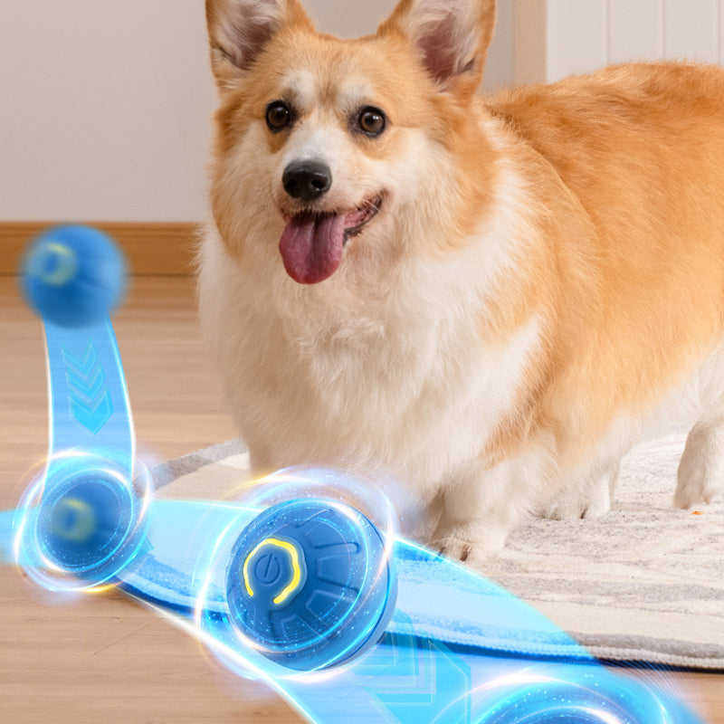 New Electric Bouncing Ball for Dogs