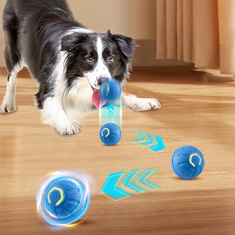 New Electric Bouncing Ball for Dogs