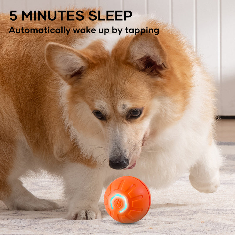 New Electric Bouncing Ball for Dogs