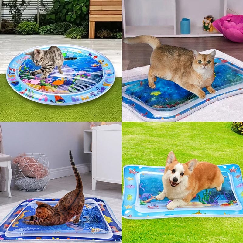 Inflatable Water Mat For Cats