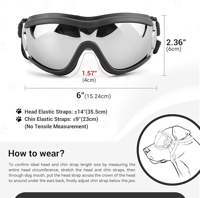 Outdoor Goggles for Dogs