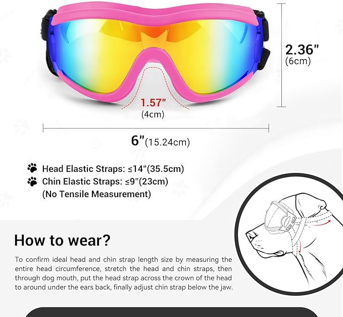 Outdoor Goggles for Dogs