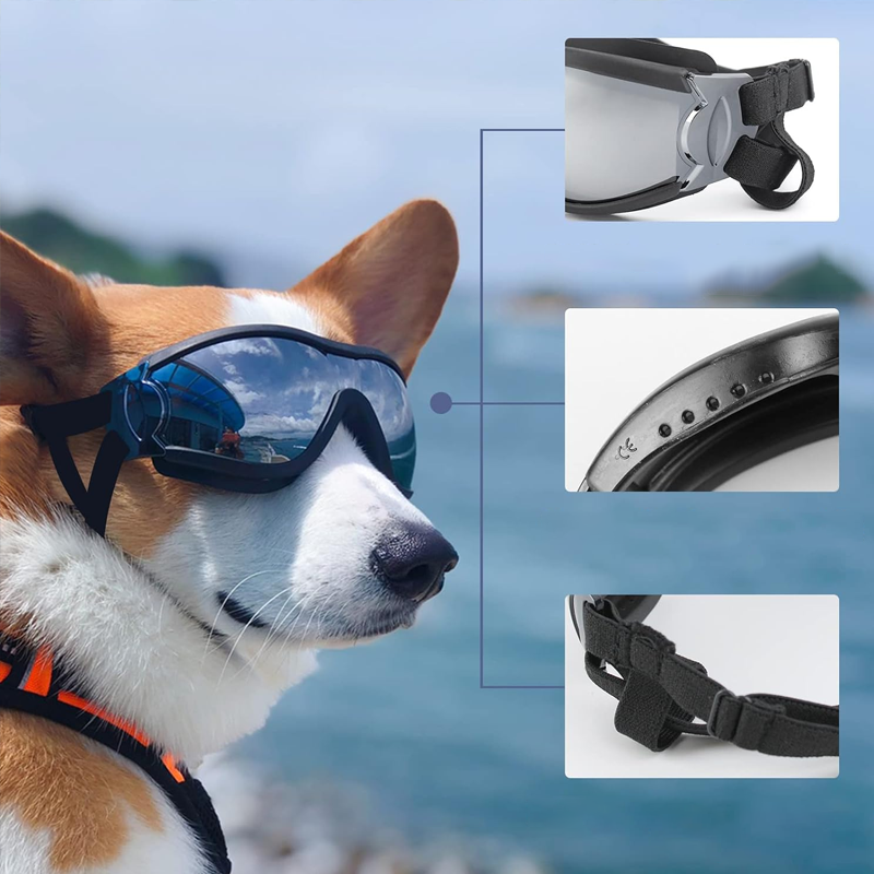 Outdoor Goggles for Dogs