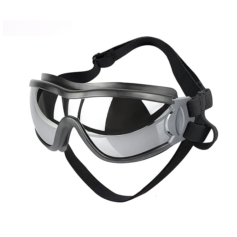 Outdoor Goggles for Dogs