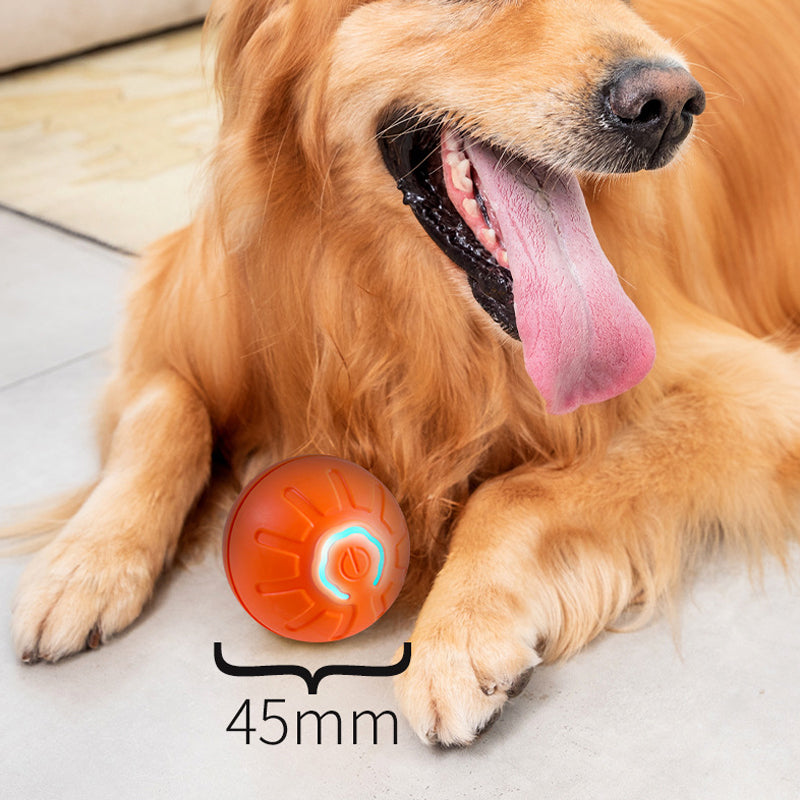 New Electric Bouncing Ball for Dogs