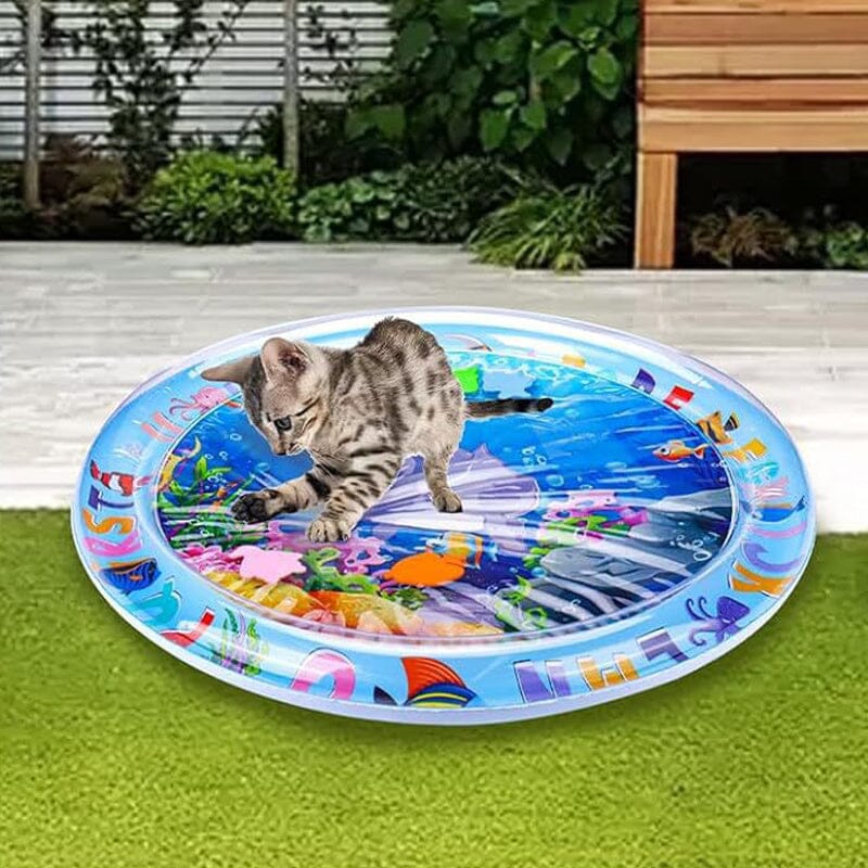 Inflatable Water Mat For Cats