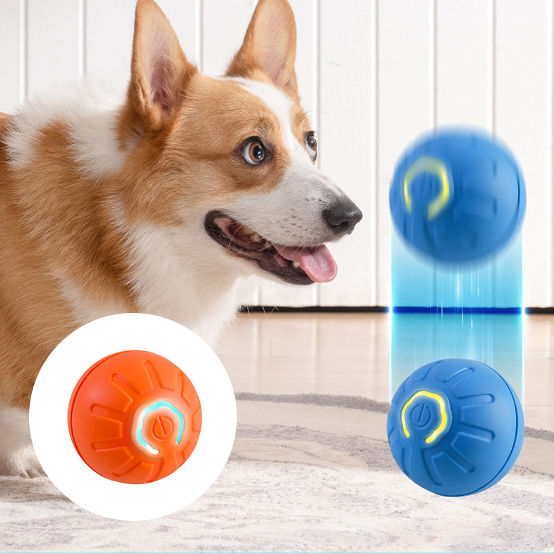 New Electric Bouncing Ball for Dogs