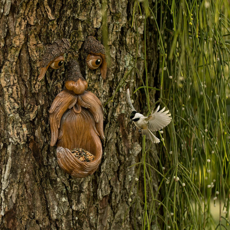 Unique Bird Feeders