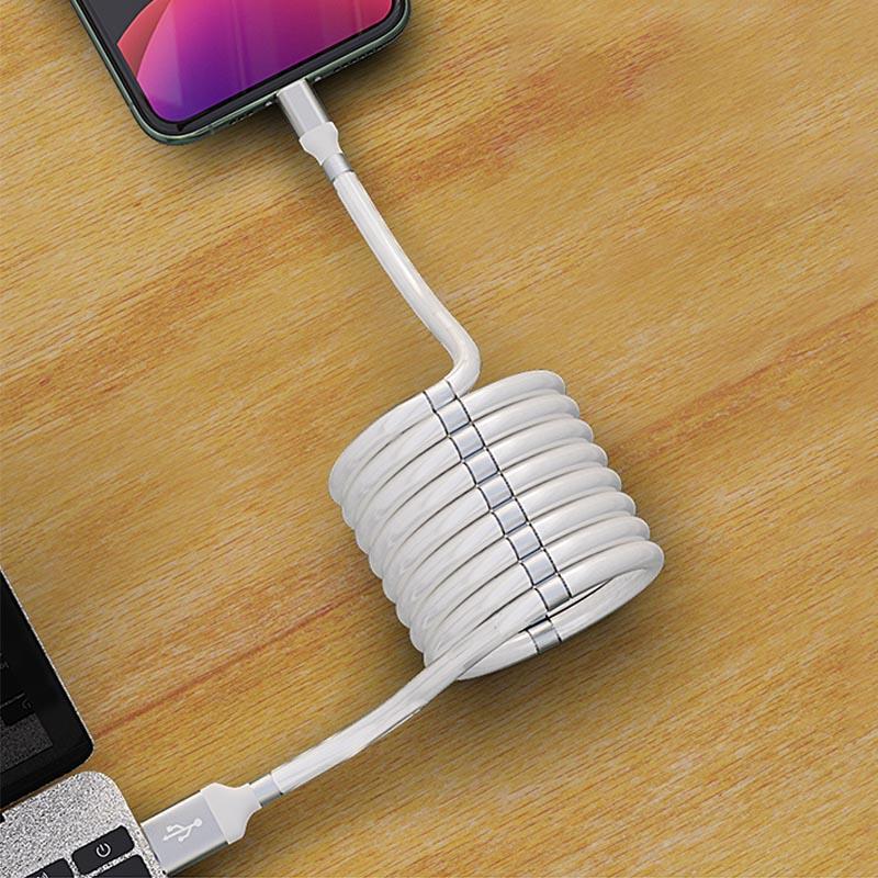 Data Cable with Magnetic Storage