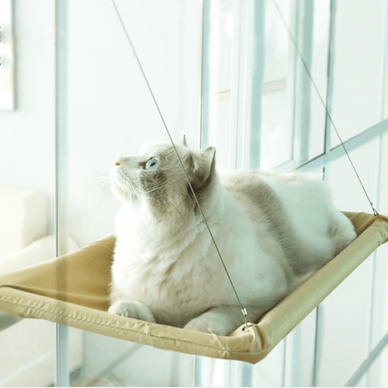 The Kitty Indoor Hammock