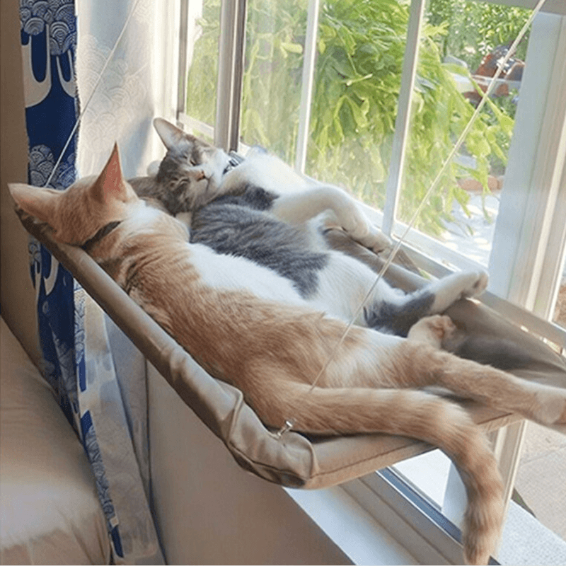 The Kitty Indoor Hammock