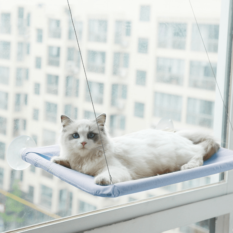 The Kitty Indoor Hammock