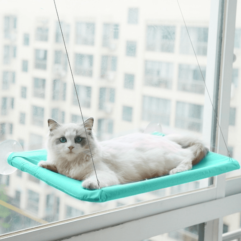 The Kitty Indoor Hammock