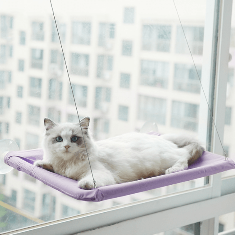 The Kitty Indoor Hammock