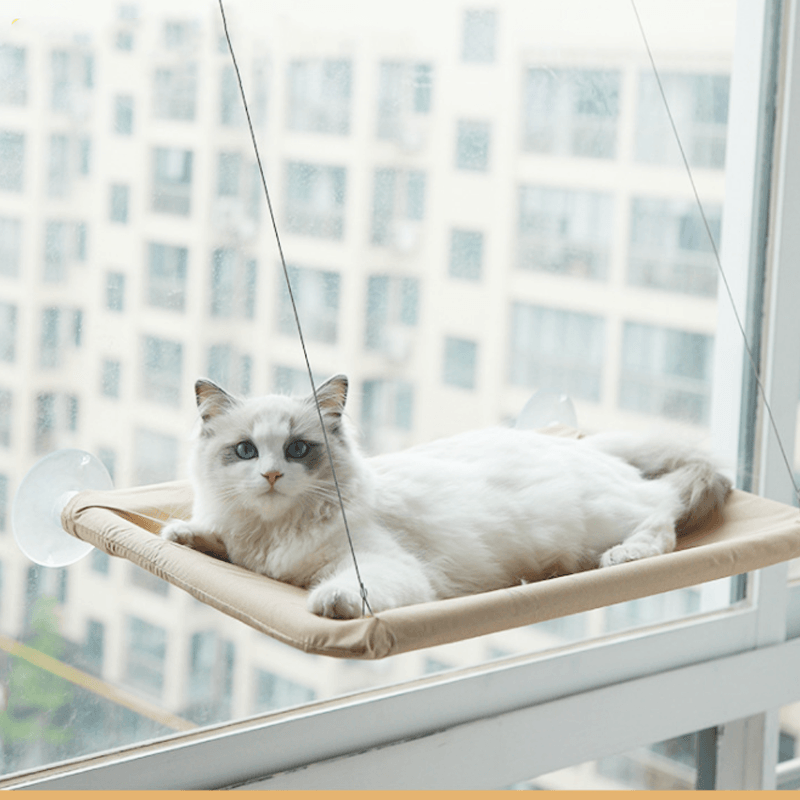 The Kitty Indoor Hammock