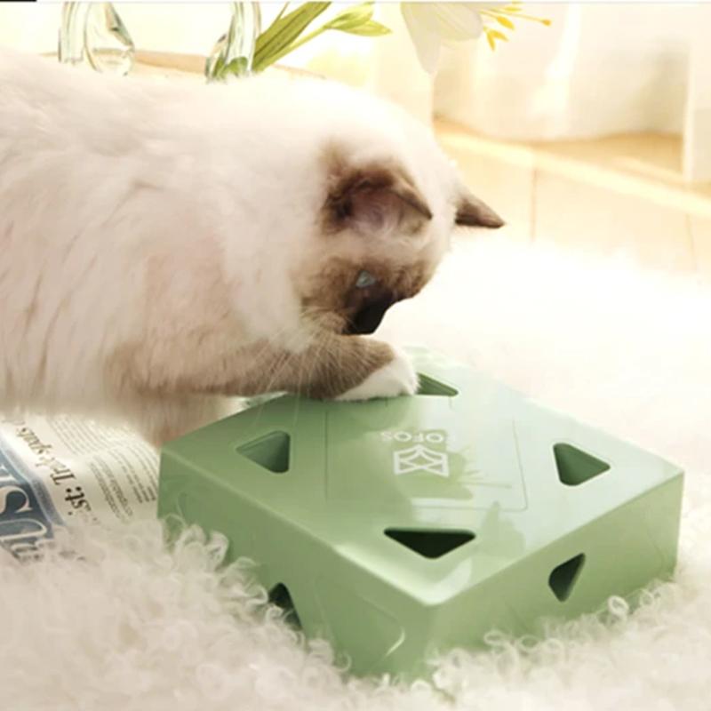 FOFOS™ Electric Funbox for Your Cat